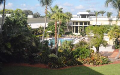 StaarCon News for March 11th