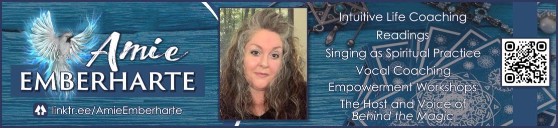 Amie Emberharte sponsor banner.